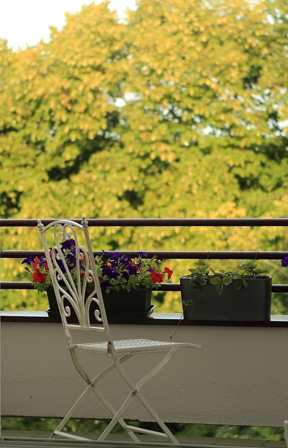 Apartma V Srdci Podebrad ปอดเยบราดิ ภายนอก รูปภาพ